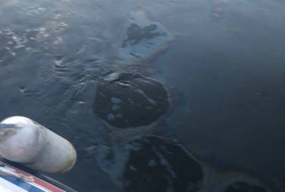 Пятна нефти обнаружены на Оке в районе Мызинского моста - vgoroden.ru - Нижегородская обл. - республика Мордовия - Экология