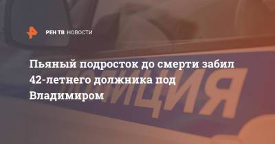 Пьяный подросток до смерти забил 42-летнего должника под Владимиром - ren.tv - Россия - Владимирская обл.