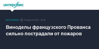 Виноделы французского Прованса сильно пострадали от пожаров - interfax.ru - Москва - Франция