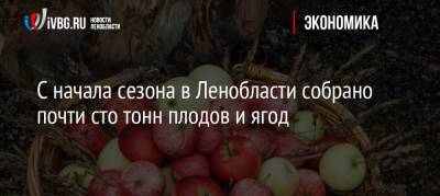 С начала сезона в Ленобласти собрано почти сто тонн плодов и ягод - ivbg.ru - Украина - Ленинградская обл.