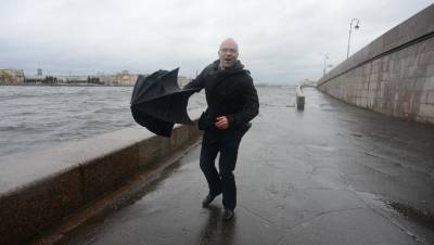Юрий Куткевич - Метеоролог рассказал о вероятности московского урагана в Петербурге - dp.ru - Санкт-Петербург