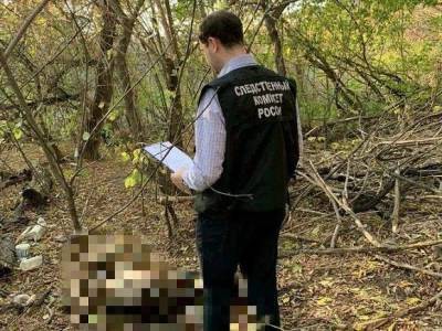 «Лента.ру»: Пропавшую в Тюмени девочку изнасиловали и задушили - rosbalt.ru - Тюмень