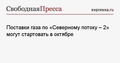 Мария Белова - Поставки газа по «Северному потоку — 2» могут стартовать в октябре - svpressa.ru