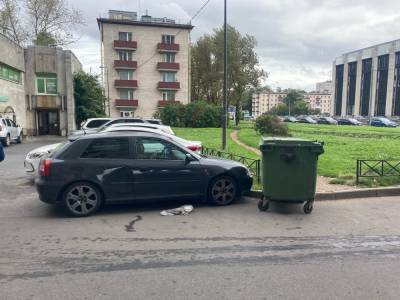 На Московском проспекте в Петербурге мусорный бак разбил припаркованный рядом автомобиль - neva.today - Санкт-Петербург - р-н. Московский