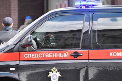 Криминалист дал описание возможного убийцы пропавшей в Тюмени девочки - lenta.ru - Тюмень