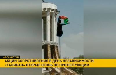 Талибы открыли огонь по протестующим - ont.by - Белоруссия - Афганистан