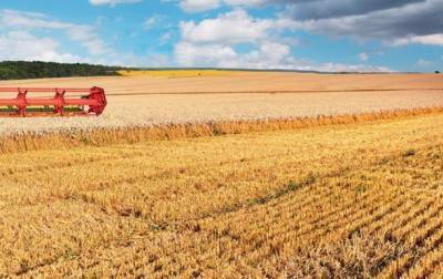 Урожайность выросла почти на 20% - Минэкономики - korrespondent.net - Украина