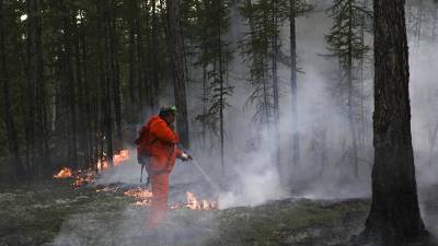 Александр Чуприян - Две природные беды России: пожары в Якутии и паводки на Дальнем Востоке - ru.euronews.com - Россия - Германия - Франция - Берлин - респ. Саха - Афганистан - Греция