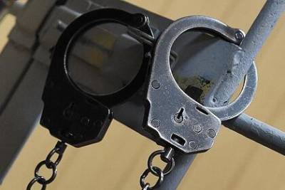 Российским подросткам вынесли приговор за подготовку теракта в школе и техникуме - lenta.ru - Шахтерск - Углегорск