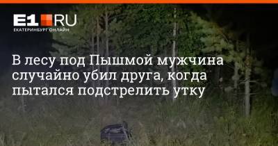 В лесу под Пышмой мужчина случайно убил друга, когда пытался подстрелить утку - e1.ru - Екатеринбург