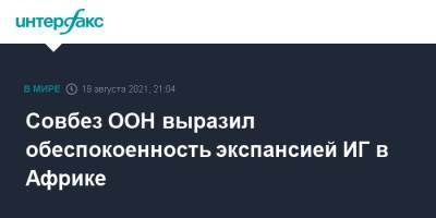 Совбез ООН выразил обеспокоенность экспансией ИГ в Африке - interfax.ru - Москва - Россия