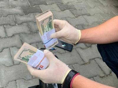 В Украину пытались ввезти фальшивый $1 млн из аннексированного РФ Крыма – прокуратура АРК - gordonua.com - Россия - Украина - Киев - Крым - Турция - Кривой Рог - Харьков - Донецкая обл.