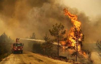 Пожары в Турции: 8 погибших, более 850 пострадавших - novostiua.news - Украина - Турция - провинция Анталья - Twitter