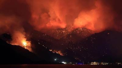 Андрей Пленкович - Хорватия готова оказать Турции помощь в тушении природных пожаров - trend.az - Турция - Хорватия - провинция Анталья - Манавгат