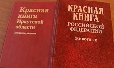 В России вступили в силу поправки, разрешающие охоту на краснокнижных животных - og.ru - Россия