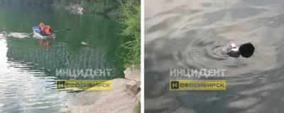 В новосибирском озере Грёз утонул мужчина - runews24.ru - Россия - Новосибирск - район Кировский, Новосибирск