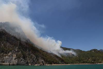Бекир Пакдемирли - 117 из 125 лесных пожаров в Турции полностью потушено или локализовано - министр - trend.az - Турция