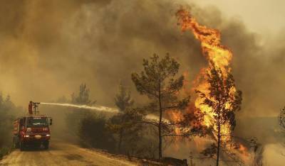 Связанная с курдами организация «Дети огня» взяла на себя ответственность за лесные пожары в Турции - og.ru - Турция - Курдистан - провинция Анталья