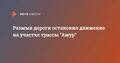 Размыв дороги остановил движение на участке трассы "Амур" - ren.tv - Амурская обл.