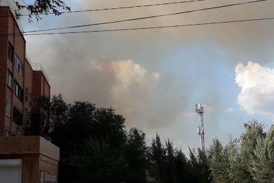 В Оренбурге площадь пожара в Протопоповской роще превысила три гектара - oren.mk.ru - Оренбург