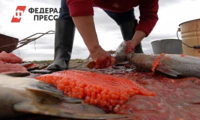 Инспектора Росрыболовства на Камчатке заподозрили в получении взятки в 100 кило икры - fedpress.ru - Тюмень - Петропавловск-Камчатский