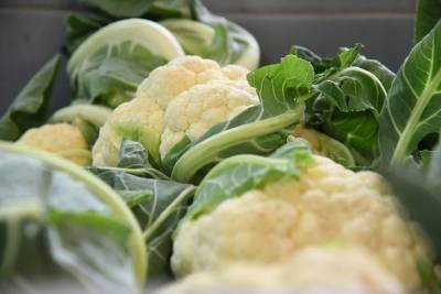 Медики назвали лучшие продукты для предотвращения остеопороза - volg.mk.ru - Англия