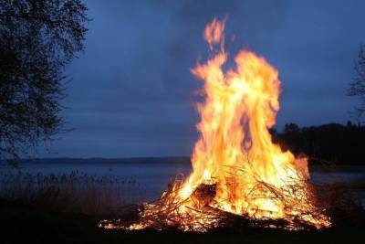 Экстренное предупреждение из-за возможных природных пожаров объявили в Новосибирской области - novos.mk.ru - Новосибирск - Новосибирская обл.