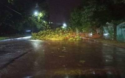 Во Львове из-за непогоды погибли парень и девушка - lenta.ua - Украина - Львов