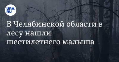 В Челябинской области в лесу нашли шестилетнего малыша - ura.news - Челябинская обл. - Челябинск - Магнитогорск - район Брединский