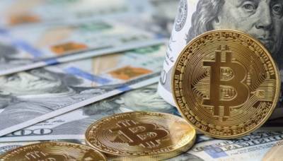 Илон Маск - Биткоин подорожал до максимума с середины мая - minfin.com.ua - Украина