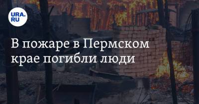 В пожаре в Пермском крае погибли люди - ura.news - Россия - Пермский край