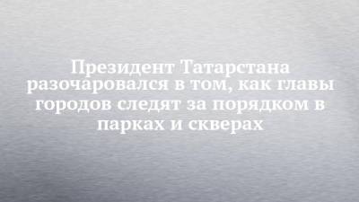 Рустам Минниханов - Президент Татарстана разочаровался в том, как главы городов следят за порядком в парках и скверах - chelny-izvest.ru - респ. Татарстан