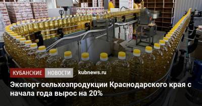 Вениамин Кондратьев - Экспорт сельхозпродукции Краснодарского края с начала года вырос на 20% - kubnews.ru - Краснодарский край