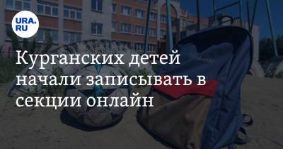 Курганских детей начали записывать в секции онлайн - ura.news - Курган