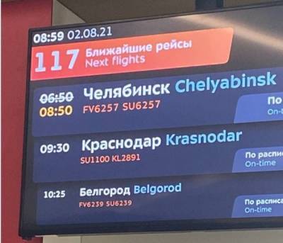 Рейс из Москвы в Челябинск задержан. Пассажиры обсуждают забастовку пилотов - znak.com - Москва - Россия - Челябинск