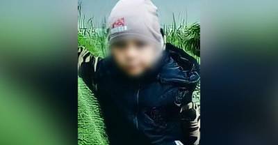 Вышел на голос мамы: В Челябинской области нашли живым потерявшегося в лесу шестилетнего мальчика - reendex.ru - Челябинская обл. - район Брединский