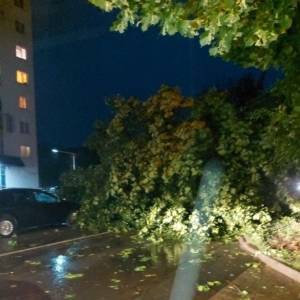 Во время урагана во Львове погибли два человека. Фото - reporter-ua.com - Львов - Львовская обл.