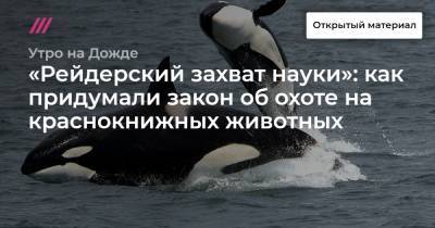 «Рейдерский захват науки»: как придумали закон об охоте на краснокнижных животных - tvrain.ru