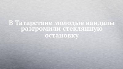 В Татарстане молодые вандалы разгромили стеклянную остановку - chelny-izvest.ru - респ. Татарстан - Нижнекамск