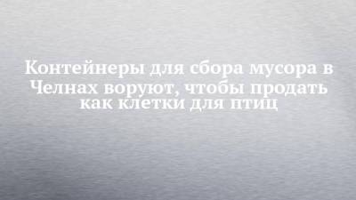 Контейнеры для сбора мусора в Челнах воруют, чтобы продать как клетки для птиц - chelny-izvest.ru - Набережные Челны