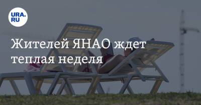 Жителей ЯНАО ждет теплая неделя - ura.news - окр. Янао