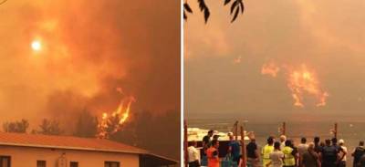 Лесные пожары в Турции: огонь приблизился к ТЕС, эвакуировали тысячи человек - novostiua.news - Украина - Турция - Манавгат