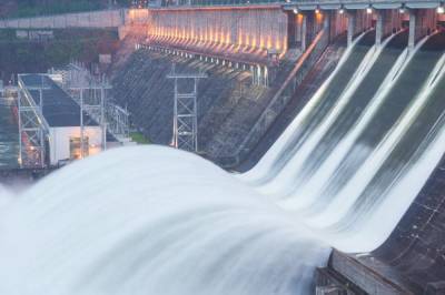 Картина дня в Хабкрае: сброс воды на ГЭС, фейковые прививки и навоз в Амуре - hab.aif.ru - Хабаровский край - Хабаровск