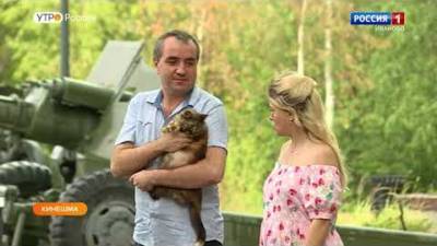 Предприниматель отдал 800 тысяч за пересадку почки кошке - vesti.ru - Россия - Ивановская обл.