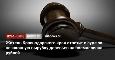 Житель Краснодарского края ответит в суде за незаконную вырубку деревьев на полмиллиона рублей - kubnews.ru - Краснодарский край