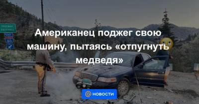 Американец поджег свою машину, пытаясь «отпугнуть медведя» - news.mail.ru