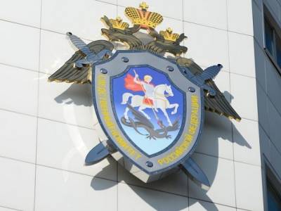 В СК РФ прокомментировали информацию о замеченном в Москве «орском маньяке» - rosbalt.ru - Москва - Россия - Московская обл. - Оренбургская обл.
