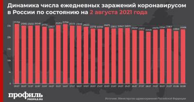 За сутки в России выявили 23508 случаев COVID-19 - profile.ru - Москва - Россия - Орловская обл. - Санкт-Петербург - Московская обл. - респ. Татарстан - Чукотка