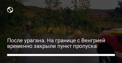 После урагана. На границе с Венгрией временно закрыли пункт пропуска - liga.net - Украина - Венгрия - Ужгород
