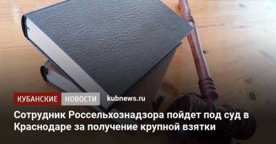 Сотрудник Россельхознадзора пойдет под суд в Краснодаре за получение крупной взятки - kubnews.ru - Россия - Краснодарский край - Краснодар - Россельхознадзор - Следственный Комитет